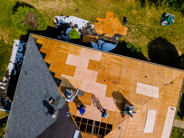 Best Roof Gutter Cleaning  in South River, NM