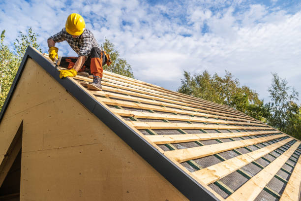 Best Metal Roofing Contractor  in South River, NM